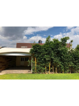 Jardín Victoria | Fiestas y Reuniones Familiares en Aguascalientes