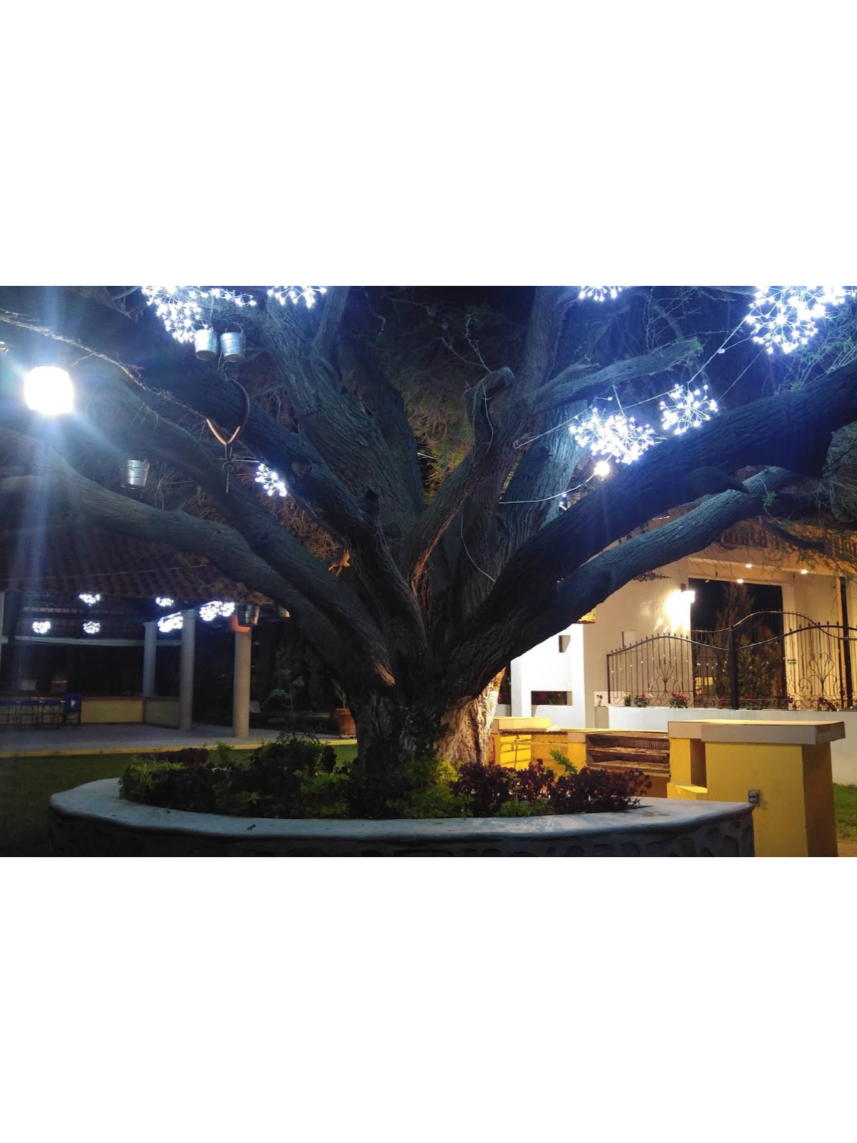 Quinta Peyotitlán | Jardín Campestre para Bodas y Eventos en Aguascalientes