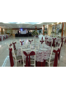 Royal Princess | Fiestas Infantiles Temáticas en Aguascalientes