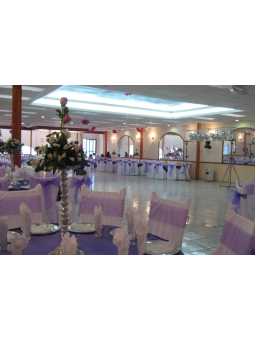 Royal Princess | Fiestas Infantiles Temáticas en Aguascalientes