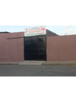 Salón Flamingos | Fiestas Infantiles y Eventos Sociales en Aguascalientes