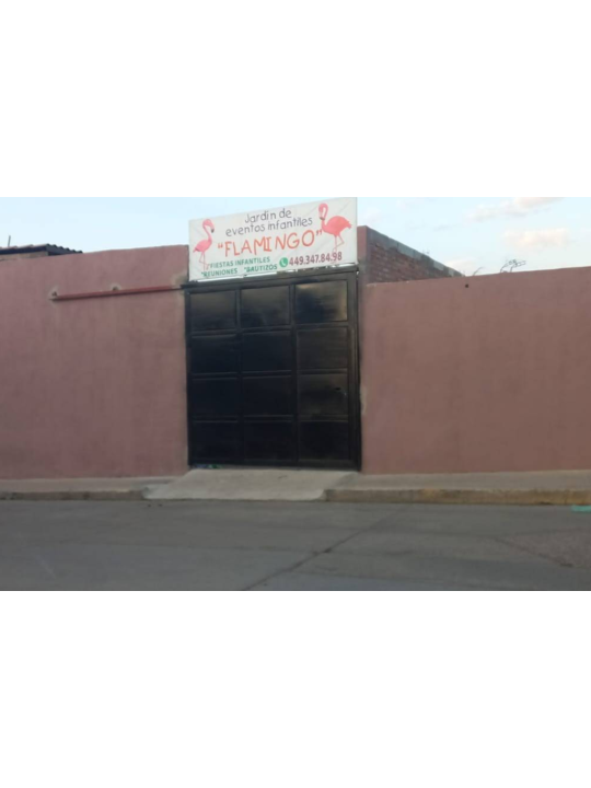 Salón Flamingos | Fiestas Infantiles y Eventos Sociales en Aguascalientes