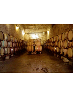 Hacienda de Letras | Eventos entre Viñedos en Aguascalientes