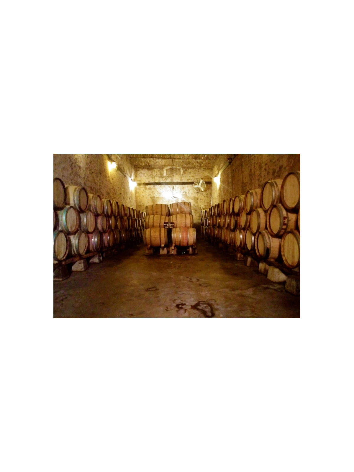 Hacienda de Letras | Eventos entre Viñedos en Aguascalientes