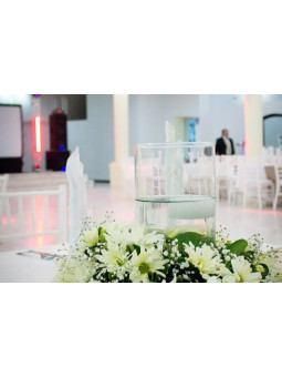 Salón La Fuente | Reuniones y Fiestas Familiares en Aguascalientes