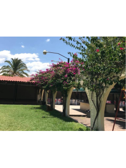 Los Candiles | Salón para Bodas y Eventos Sociales en Aguascalientes