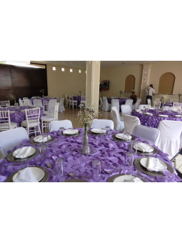 Salón Lily’s | Renta de Salón para Eventos y Fiestas en Aguascalientes