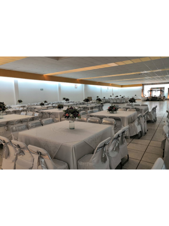 Los Tulipanes II | Salón para Fiestas y Reuniones en Aguascalientes