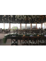 Il Giardino | Jardín para Bodas y Eventos Sociales en Aguascalientes