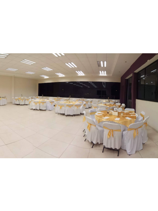 Alegría Salón | Fiestas Infantiles y Reuniones Familiares en Aguascalientes