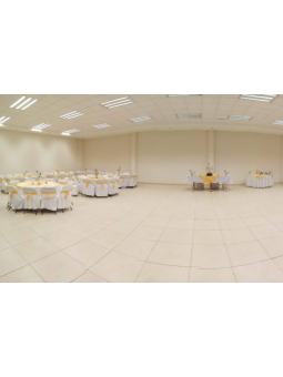 Alegría Salón | Fiestas Infantiles y Reuniones Familiares en Aguascalientes