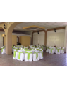Jardín Aucaria | Renta de Jardín para Fiestas en Aguascalientes