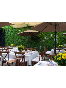 Salón Puerta Parota | Renta de Salón Moderno en Aguascalientes