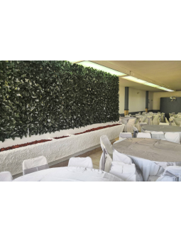 Salón Ejecutivo | Espacio para Eventos Empresariales en Aguascalientes