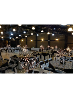 Salón Real de Alcaldes | Renta de Salón para Bodas y Eventos en Aguascalientes