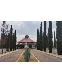 Palapa Tierra Santa | Jardin de Eventos en Aguascalientes