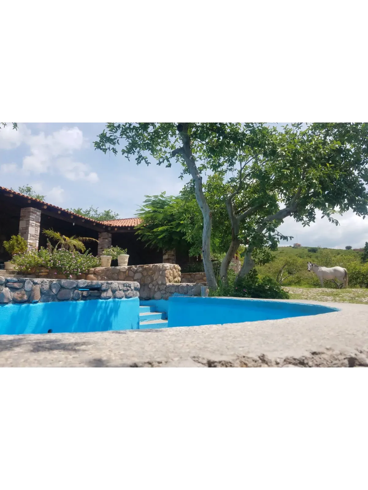 Salon los 3 Guayabos | Jardin de Eventos en Aguascalientes