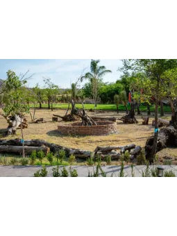 Agaves Garden | Renta de Jardín con Alberca para Eventos en Aguascalientes