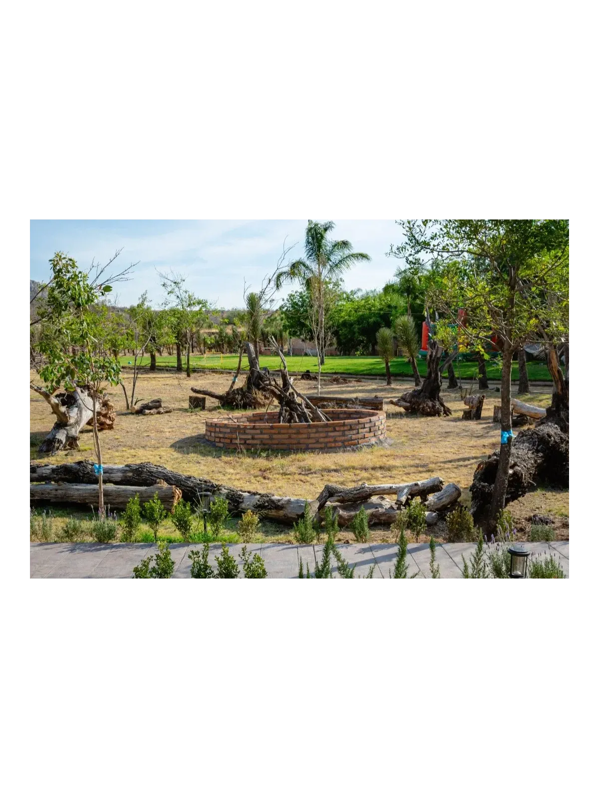 Agaves Garden | Renta de Jardín con Alberca para Eventos en Aguascalientes
