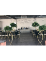 Terraza Jardín Maravillas | Jardín para Eventos en Aguascalientes