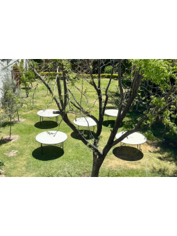 Terraza Jardín Maravillas | Jardín para Eventos en Aguascalientes