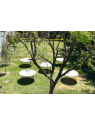 Terraza Jardín Maravillas | Jardín para Eventos en Aguascalientes