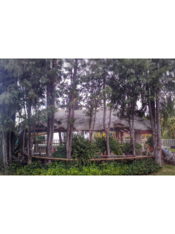 Salón El Country | Reuniones y Fiestas Familiares en Aguascalientes