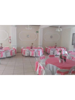 Salón Jardín Fantasy | Fiestas Infantiles y Reuniones en Aguascalientes