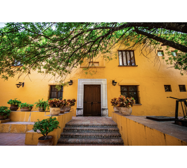 Viñedos Santa Mónica | Lugar Campestre para Bodas y Eventos en Aguascalientes