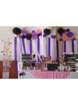 Salón El Olivo | Fiestas y Eventos Sociales en Aguascalientes