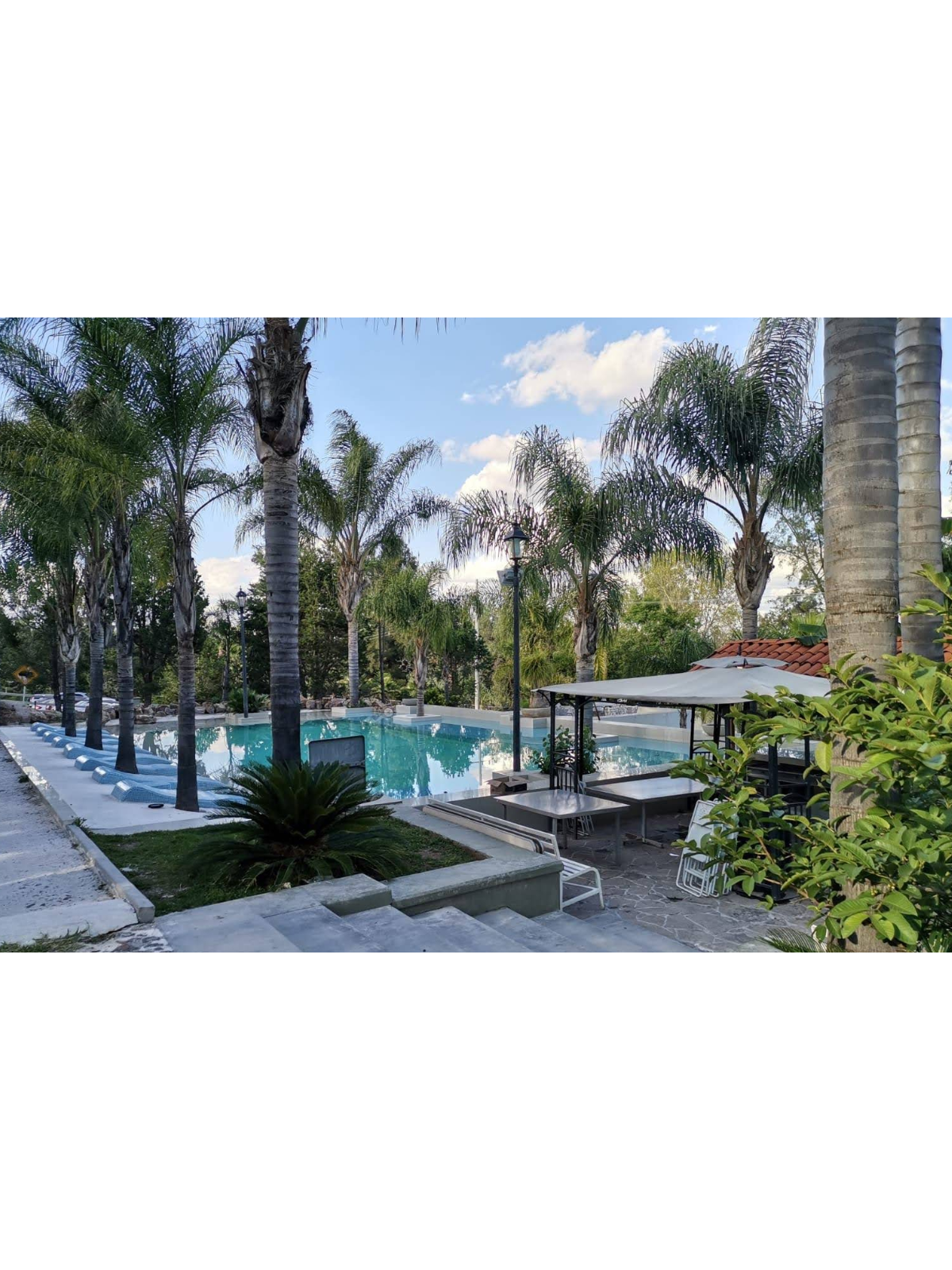 Salón Jardín Las Palmas | Eventos y Reuniones en Aguascalientes