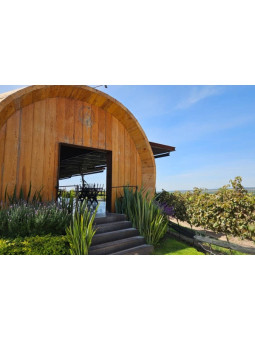 Vinícola Casa de Quesada | Viñedos para Bodas y Eventos en Aguascalientes
