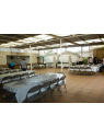 Jardín Itzae | Eventos Familiares y Sociales al Aire Libre en Aguascalientes