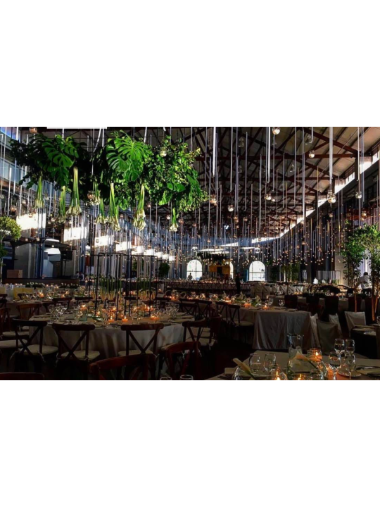 Salón de Locomotora | Cumpleaños Infantiles y Eventos en Aguascalientes